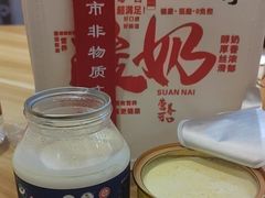 -德禄酸奶(莫家街店)