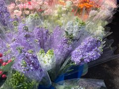 -循礼门鲜花花市(武汉循礼门店)