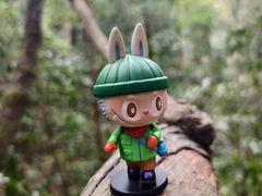 -西双版纳原始森林公园