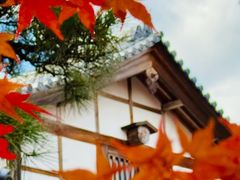 -常寂光寺