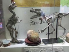 -河源客天下-温泉小镇