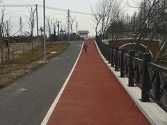 -上海长兴岛郊野公园