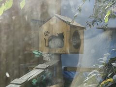 -青藏高原野生动物园