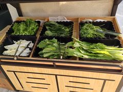 -嘎琉鲜切牛肉自助火锅