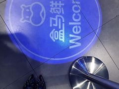 -盒马鲜生(莱蒙都会店)