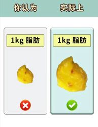 -Fundi张玉珊修身堂·indiba·BTL科技瘦身