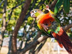 -西北湖绿化广场