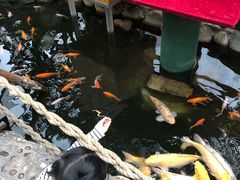 -上海大自然野生昆虫馆(东方明珠·爬宠昆虫探索中心)