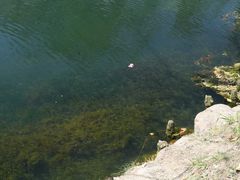 -贵阳市花溪国家城市湿地公园