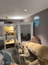 点击看大图 -奈尔宝家庭中心·亲子餐厅(华采天地店)