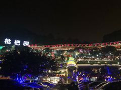 -枇杷园食为鲜火锅(南山店)