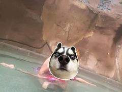 -天赐温泉