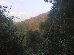 -野象谷景区