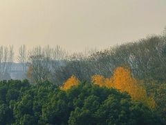 -南京金牛湖风景区