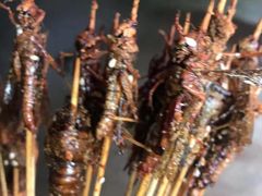 -大学城夜市大排档(凤栖路店)