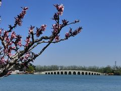 -颐和园
