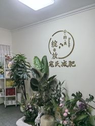 -寇氏减肥