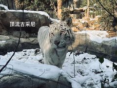-红山森林动物园