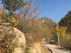 -大岭沟猕猴桃谷风景区