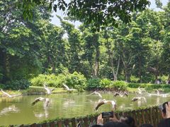 -广州长隆飞鸟乐园