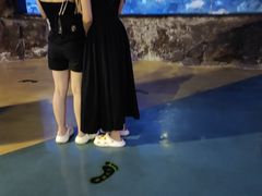 -烟台海昌鲸鲨海洋公园