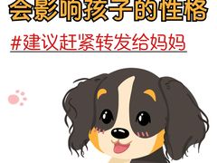 -翊宠yipet猫狗购宠庄园犬舍•猫舍