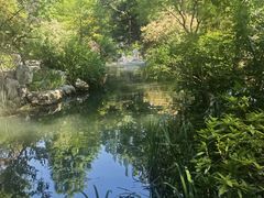 -上海醉白池公园