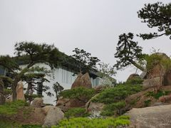 -罗红摄影艺术馆