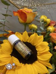 -芳香乐府疗愈空间·SPA·冥想