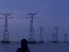 -宝安西湾红树林湿地公园