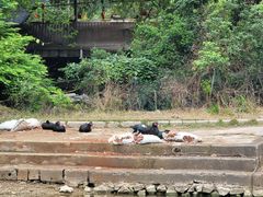 -生态苑农庄(十里画廊遇龙河店)