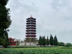 -皇罗禅寺