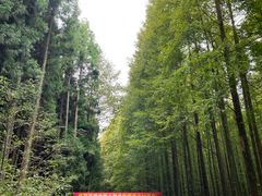 -山王坪喀斯特国家生态公园