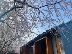 -三里河公园