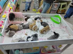 -三旗百汇商品城