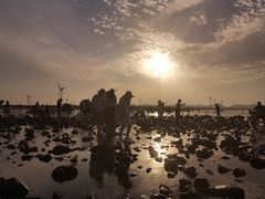 -长江澳风力发电景观区