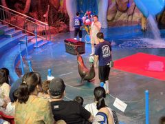 -烟台海昌鲸鲨海洋公园