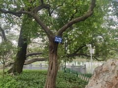 -东山湖公园