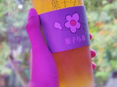 浅香茉莉-叶子与茶(苏宁广场店)