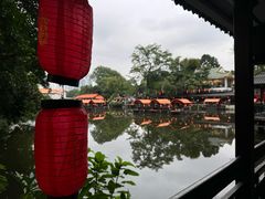 -侨美·唐荔园·40年地道粤菜