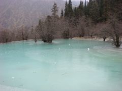 -黄龙山原始森林景区
