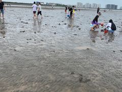 -奉贤海滩