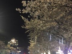 -艾蜜西餐厅(梅园店)