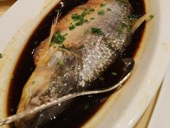 -喜来登由由大酒店九州膳坊中餐厅