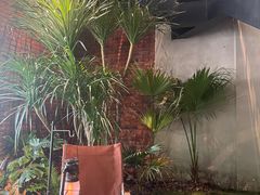 -J Create城市露营咖啡·简餐·宠物(上海动物园店)