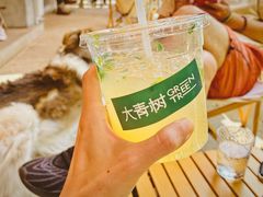 -大青树咖啡(大理古城店)
