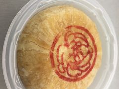 -蒲公英(五里店)