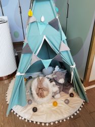 -baby bella小贝拉母婴护理中心(珠海希尔顿店)