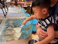 -美盛喜来登大酒店-盛宴标帜餐厅