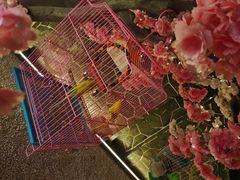 -蓝鲸湾汤泉(包河店)